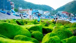 BƯỚC VÀO THẾ GIỚI BÌNH YÊN CỦA LÀNG CHÀI NHƠN HẢI - NÉT ĐẸP HOANG SƠ GIỮA LÒNG QUY NHƠN