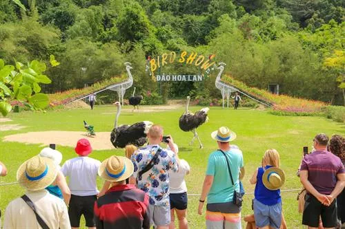 Khám Phá Vịnh Nha Phu: Đảo Long Phú (Suối Hoa Lan & Đảo Khỉ)